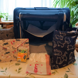 Kit voiture pour chat