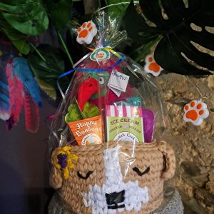 PANIER KDO été pour chiens